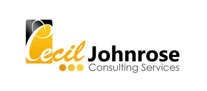 Business consulting services 