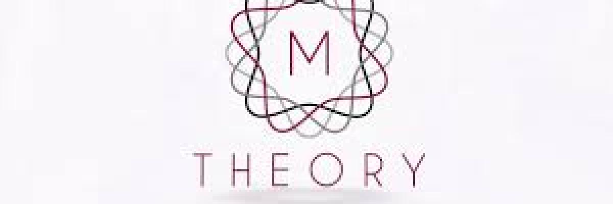 M. Theory investment cc 
